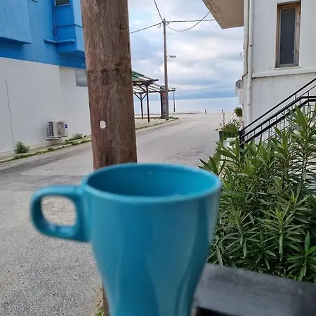 хара - χαρά - Xara Orfanion